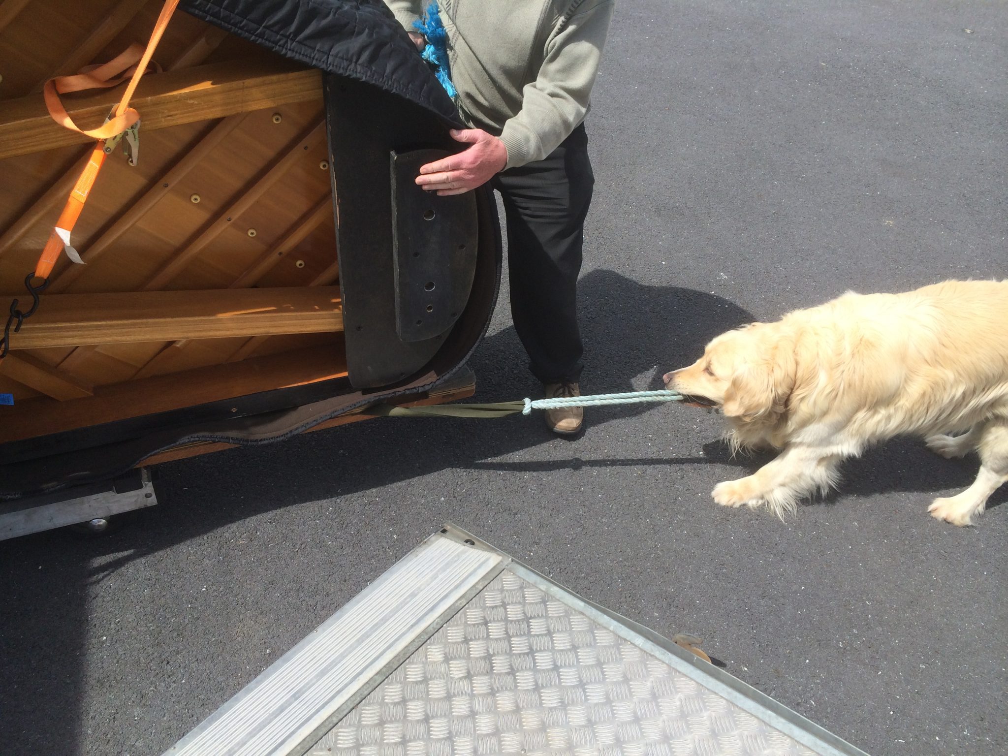 Buddy-Loading-1-2048x1536